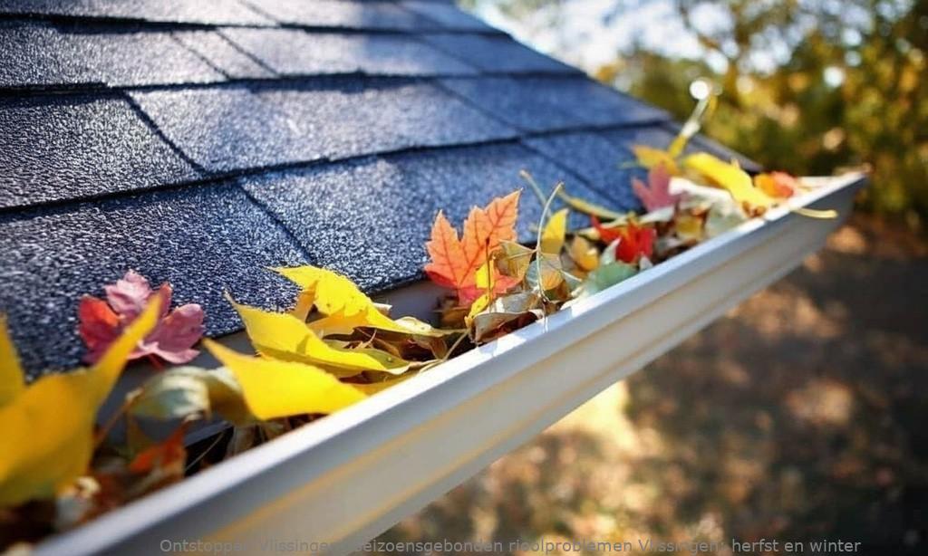 Seizoensgebonden rioolproblemen Vlissingen: herfst en winter