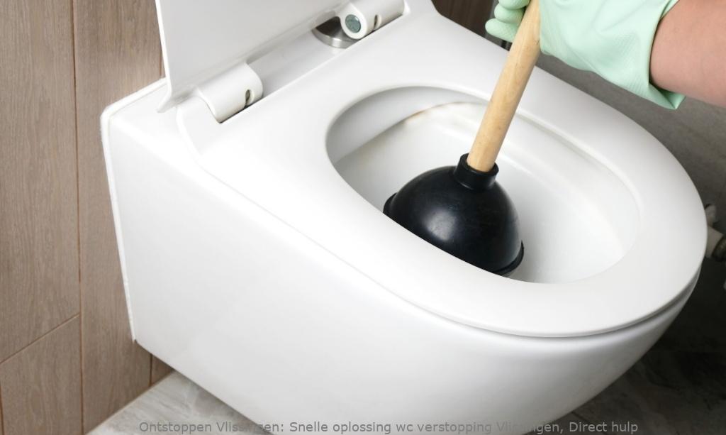 Snelle oplossing wc verstopping Vlissingen, Direct hulp