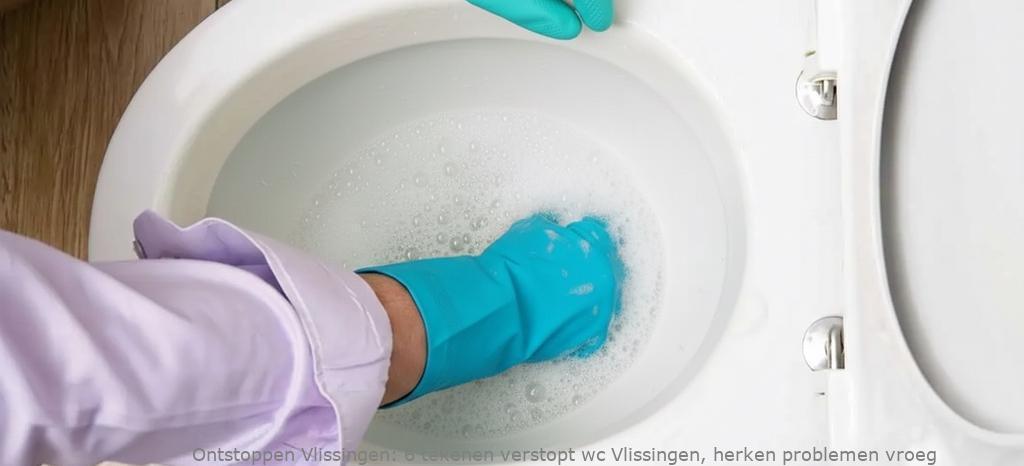 6 tekenen verstopt wc Vlissingen, herken problemen vroeg